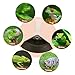 POPETPOP Dual Function Reptile Food Drinking Dish Color Compact Feeding for Turtles Lizards Crawling Pets