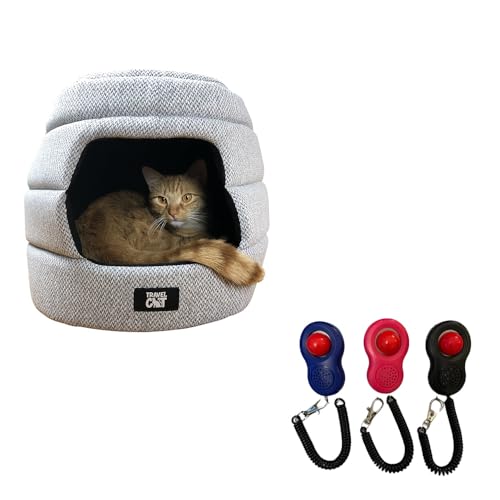 How to keep cats from pooping on furniture