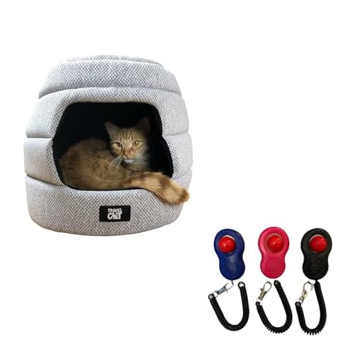 Travel Cat Training and Cozy Hideaway Kit