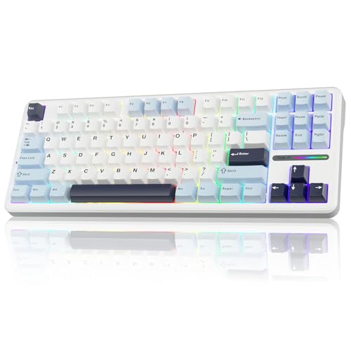 AULA F87 Wireless Gaming Keyboard Tri-mode,75% Percent Hot Swappable Custom Keyboards,Five-Layer Padding,Pre-lubed Switches,RGB Backlight,TKL Mechanical Keyboard for PC/Mac (Glacial Blue)