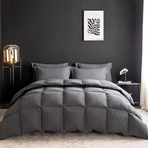 WENERSI Queen Down Comforter Cover