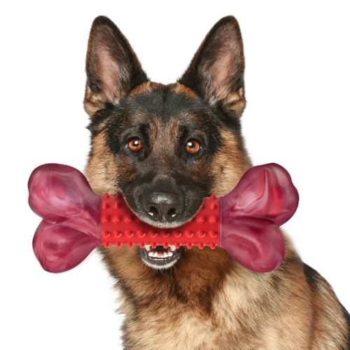 Apasiri Tough Dog Toys for Aggressive Chewers Beef Flavor: 8' Dog Chew Bone for Large Breed, Nylon & Rubber Chew Toy for Medium Large Dogs