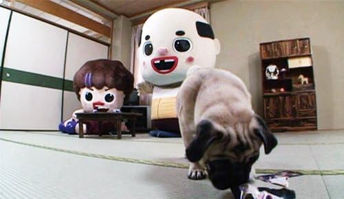 Amazon 尼崎のちっちゃいおっさん 略して 尼ちゃんdvd お笑い バラエティ Amazon 尼崎のちっちゃいおっさん 略して 尼ちゃんdvd お笑い バラエティ