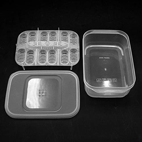 Festnight Bandeja De Ovo Réptil Caixa De Ovo Réptil Caixa De Reprodução De Répteis Caixa De Incubaçã