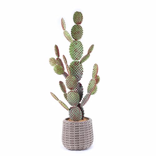 42” Artificial Prickly Pear Cactus in a Woven Like Basket – Realistic Faux Indoor Plant for Home, Office, or Patio Décor by Vintage Home - Used condition - US$41.91