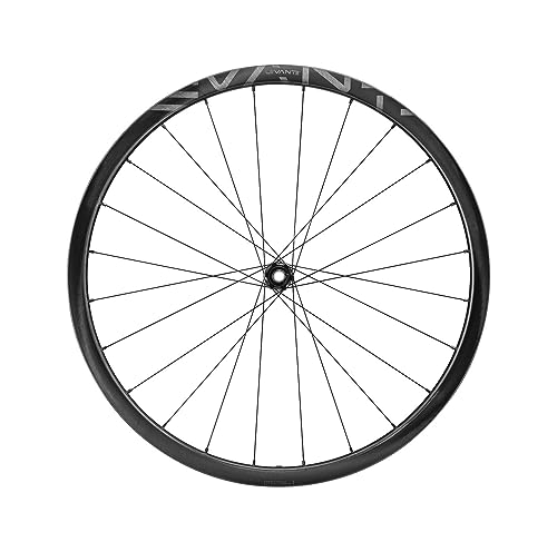 Campagnolo 2 vías Db Ruedas, Unisex, Silber, Talla estándar