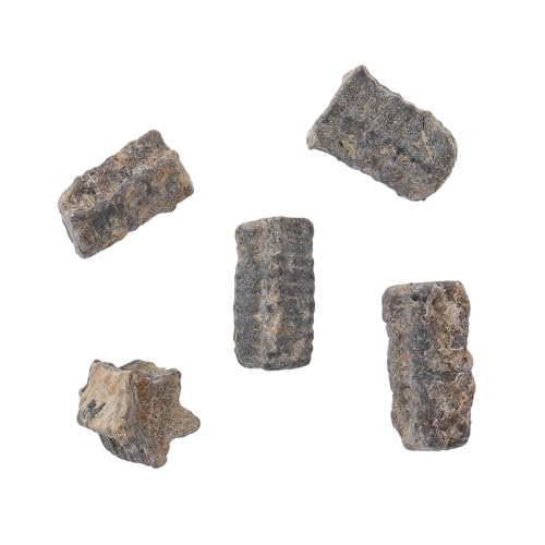 PartyKindom Educational Plaything: Realistic Sea Supplies Develop Creativity for Children