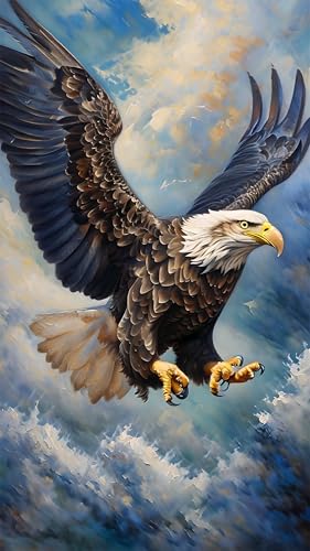 Peinture Diamant Adulte Kinntn Nuage et Aigle 5D Kit Complet Broderie Strass Géant 70x120cm