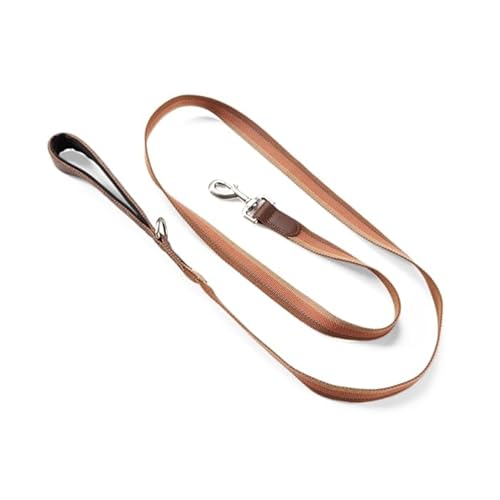 Reddy Stripe Dog Leash Tan 6-ft Long 1-in Wide