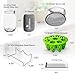 Premium Seed Sprouting Kit & Green Onion Regrower – 2 Wide-Mouth Mason Jars with Sprout Lids, Stainless Stand, Drain Tray, Blackout Sleeves & Cleaning Brush for Broccoli, Alfalfa & Mung Beans