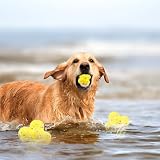 Suevut für Pfotenstern Kauzauber Hundeball, für Kauzauber Hundespielzeug Ball Hundebälle, für Pfotenstern Magic Ball Hund Unzerstörbar, für Aggressive Kauer, für Kleine, Große, Mittelgroße, Hunde