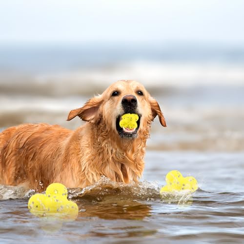 Suevut für Pfotenstern Kauzauber Hundeball, für Kauzauber Hundespielzeug Ball Hundebälle, für Pfotenstern Magic Ball Hund Unzerstörbar, für Aggressive Kauer, für Kleine, Große, Mittelgroße, Hunde