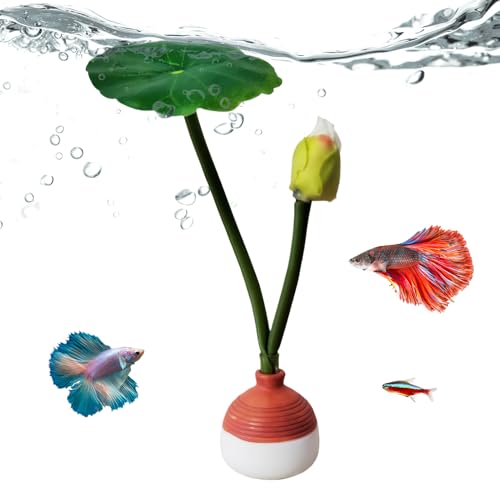 Betta �n�����b�N �����ٗp | �t �A�� ���� ���� ���� �x�^ �v���C���O�x�b�h - �z�[���^���N �Y�� �ɐB �x�� ���R �����n �g���s�J��