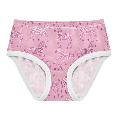 Girls Underwear Soft Cotton Cute Zebra Kids Panties in Sizes 2/3t, 4t, 5t, 6 and 8