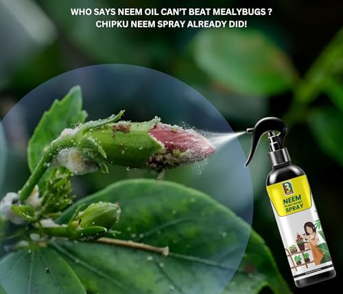 Image of B Natural Ready-to-Use Neem Oil Spray 400ml | 100% Pure & Organic Cold-Pressed Formula | For Indoor & Outdoor Plants | Effectively Controls Mealybugs, Fungi, and All Plant Pests