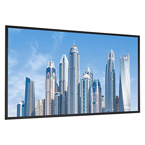 Best 110 Projector Screen