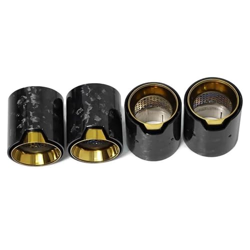 Embouts d'échappement pour BMW M2 M3 M4 en fibre de carbone et silencieux de queue