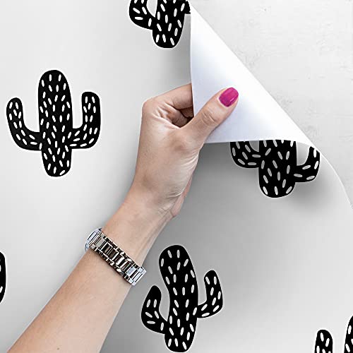 Papier peint chambre cactus 250x250cm lavable pour masquer défauts mur