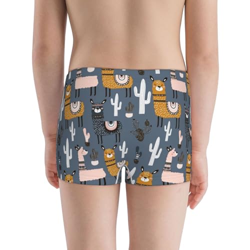 Boys' Cotton Boxer Brief Soft Underwear-Llama And Cactus3