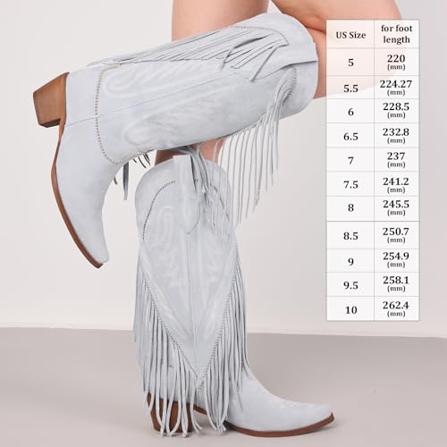 Image of Cowgirl Boots for Women Retro Pointed Toe Pull On Block Chunky Heel Embroide Tassel Country Concert Outfits Mid Calf Western Fringe Cowboy Boots