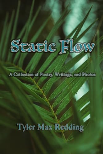 Static Flow (Poetic Spirit: A Collection of Poetry, Writings, and Photos)