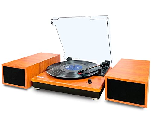 Cl616 oak/tocadiscos con altavoces