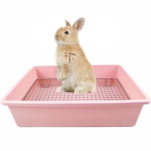 Amakunft  gC LTCY sN ybgpgC  tFbg gCΉ ? e |ȒP Ⴂ XeX̂t