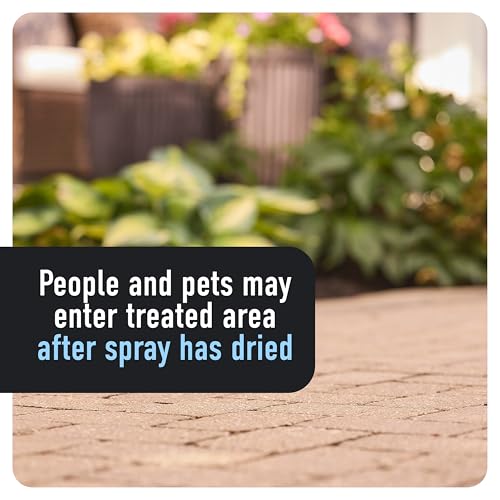 Roundup Dual Action 365 Weed & Grass Killer Plus 12 Month Preventer Refill - image 9