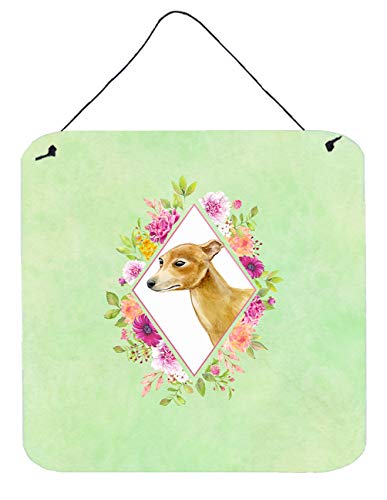 Caroline's Treasures CK4314DS66 Italian Greyhound Green Flowers Wall or Door Hanging Prints Aluminum Metal Sign Kitchen Wall Bar Bathroom Plaque Home Decor, 6x6, Multicolor