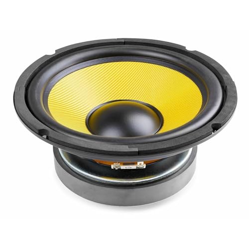 FENTON WK20 Altavoz Woofer de 20 cm / 8 Pulgadas, con Cono Kevlar, 500 Vatios, 250 Vatios RMS, Impedancia 8 Ohmios, Recambio Altavoz Coche, Repuesto Woofer para Altavoz Hi-Fi
