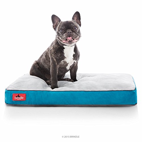 Brindle Shredded Memory Foam Dog Bed with Removable Washable Cover-Plush Orthopedic Pet Bed - 28 x 18 inches - Stone