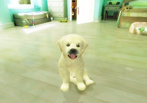 Petz Sports - Nintendo Wii #TOP3