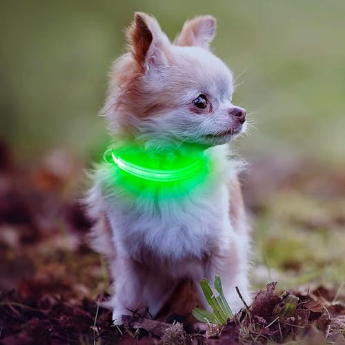 Weesiber  ^ - USB[d  LED  qLɓK߉\Ȓ, y  U Cg F500mŖԂS (O[, 8.5-11.8 inch)