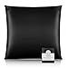 OLESILK Taie d'oreiller en Soie Naturelle de mûrier 16 Mommes: Prend Soin de Votre Peau et Moins de Perte de Cheveux - Noire, 65x65cm