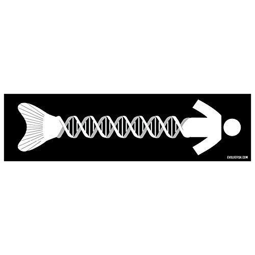 Adhesivo DNA Evolution para parachoques vinilo de coche 28 x 7,6 cm 2