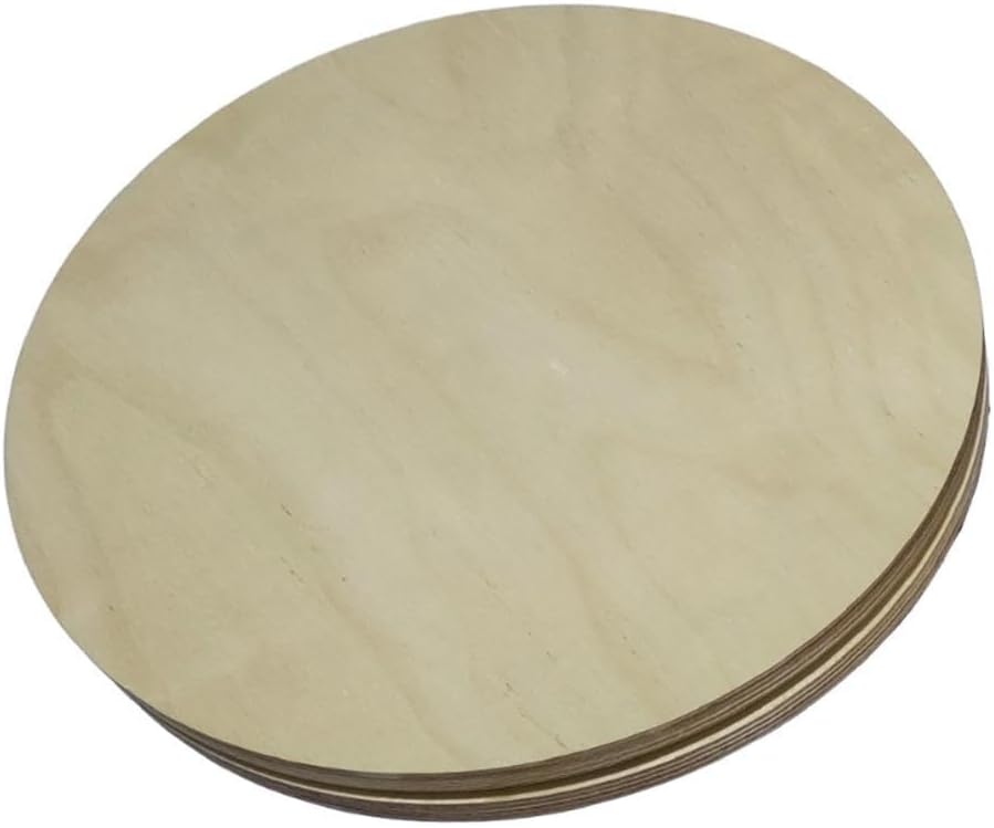 Rotating Disc Rotational Disk for Workout Pilates