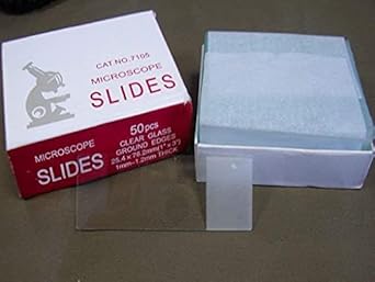 Witeg Combo Pack of Microscope Glass Slides (Pack of 50 Slides, 75x25x1.4 mm) With Cover Slips (18x18mm, 200 Slips)