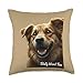 Totally Weird Tees Golden Retriever Meme Dog Cryptid Funny Throw Pillow