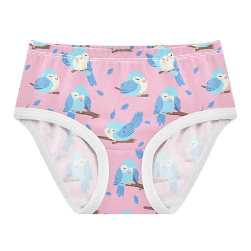 Girls' Underwear Birds Cotton Stretch Comfort Toddler Panties