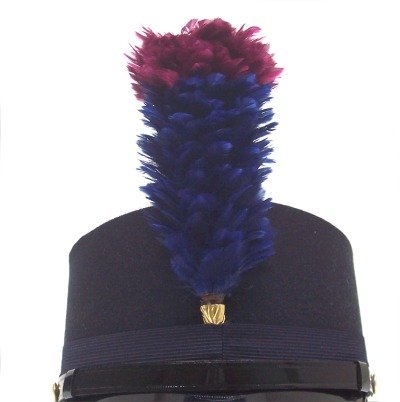 Diadema Pennacchio per cappello banda musicale