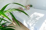 Donegal Collections apuesta por una colección de sábanas lisas. Se adapta perfectamente a cualquier ambiente del hogar sea cual sea su decoración, edad o gustos. Los colores elegidos son tendencia en ropa de cama. Consigue tu Juego de Sábanas como una oferta flash de hoy en Gris, Blanco y Azul Celeste. ¡Creemos ambientes inigualables juntos!