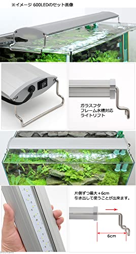 Amazon | 30cmキューブ水槽セット アクアリウム用品シンプル3点