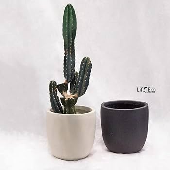 訳あり植木鉢 大型 軽量 エイリアス ラウンド 43cm プランター 観葉植物 楽天市場】植木鉢 大型 軽量 エイリアス ラウンド ブラック（黒