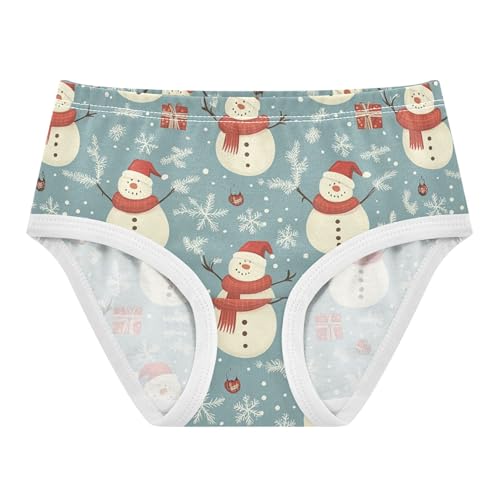 Toddlers Underwear Floral 2t Cotton Panties Little Girl Designer Briefs Underpants Christmas Snowman Blue Grey
