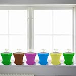 PURPLE STAR 1N 50 Packs Cupcake Plant Nursery Pots with Humidity Dome- Planting Containers Cups- Small Flower Pots for Indoor Outdoor Plant Succulent Vegetable (Mixed Color)