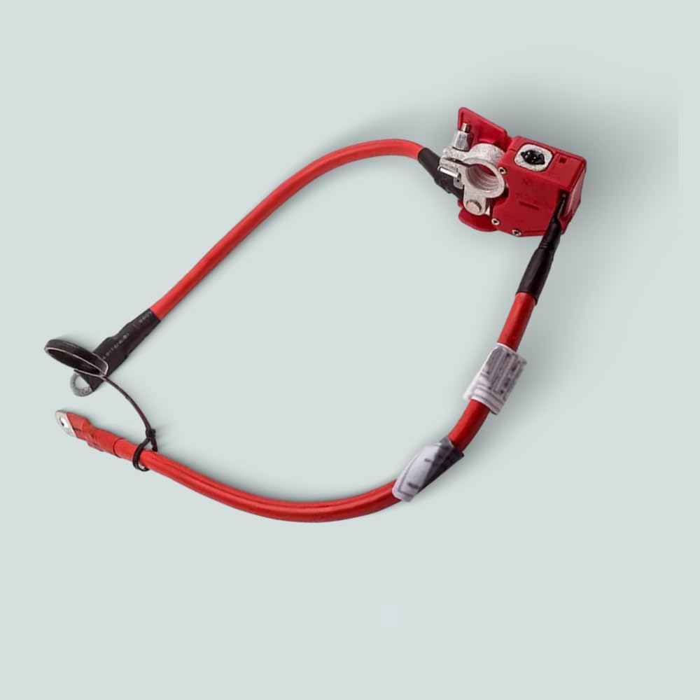 MACHSWON Positive Battery Terminal Cable, Positive Battery Fuse Cable, 80cm / 31.5 inch Wire Length, 61126998059, Compatible with BMW 5 series G30 530e