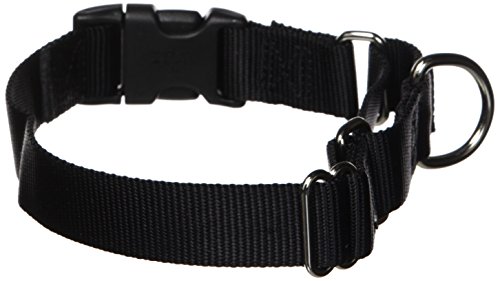PetSafe Martingale Collar with Quick Snap Buckle, 1" Medium, Black