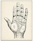 Vintage Palm Reading Chart 11x14 Unframed Print–Witchy occult wall art featuring wicca, magic, and mystical décor. Great for vintage Halloween, oddities, curiosities, & unique home decoration displays