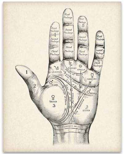 Vintage Palm Reading Chart 11x14 Unframed Print–Witchy occult wall art featuring wicca, magic, and mystical décor. Great for vintage Halloween, oddities, curiosities, & unique home decoration displays