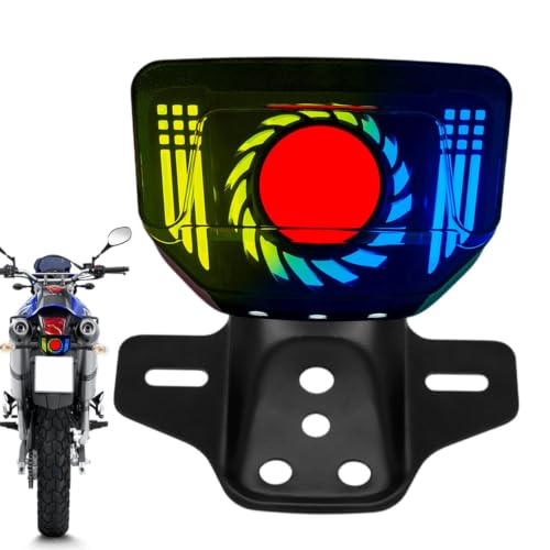 Luces traseras LED para motocicleta homologadas con luces de señal de giro integradas 6